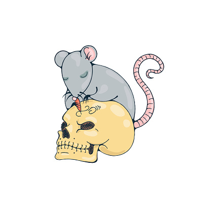 Illustration with rat engraves human skull.