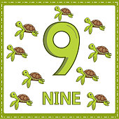 Illustrations for numerical education for young children. So that children can learn to count the numbers 9 and 9 turtle as shown in the picture in the animal category.