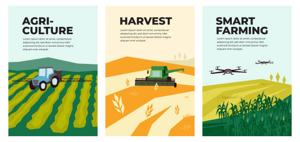 Illustrations of agriculture, harvest, smart farming Set of vectors with agriculture,harvest, smart farming. Illustrations of irrigation tractor spraying on field,combine harvester, drones, agro industry and technology. Template for poster, annual report drone patterns stock illustrations