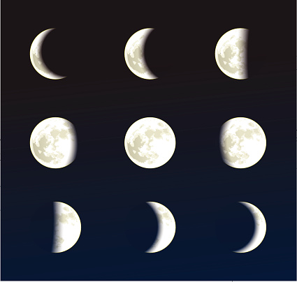 Illustrations Of The Phases Of The Moon Stock Illustration - Download ...