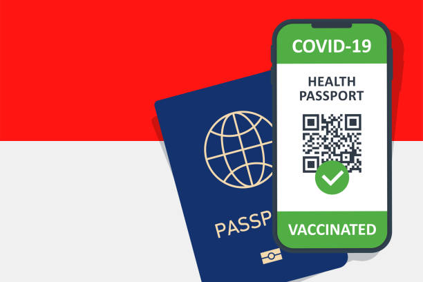 印尼智能手機免疫健康護照證書。科維德-19疫苗接種檔。向量插圖 - 印尼國旗 幅插畫檔、美工圖案、卡通及圖標