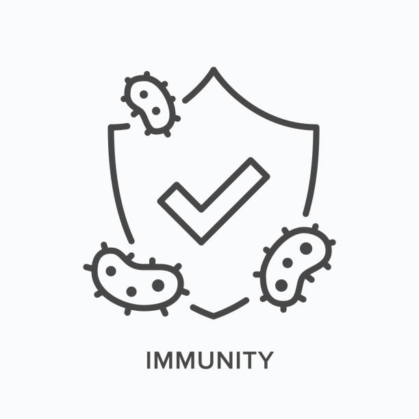 Immune shield line icon. Vector outline illustration of defence virus, germ, bacteria. Microorganism protection pictorgam Immune shield line icon. Vector outline illustration of defence virus, germ, bacteria. Microorganism protection pictorgam. immune system stock illustrations