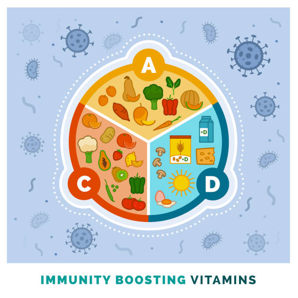 ilustrações de stock, clip art, desenhos animados e ícones de immunity boosting vitamins a, c, d and food sources - boosting