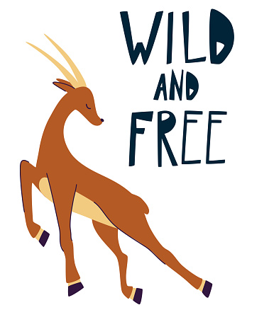 Impala. Quotes wild and free. Hand draw Running gazelle. Wild animals. Funny cartoon animals. Vector illustration isolated on white background.