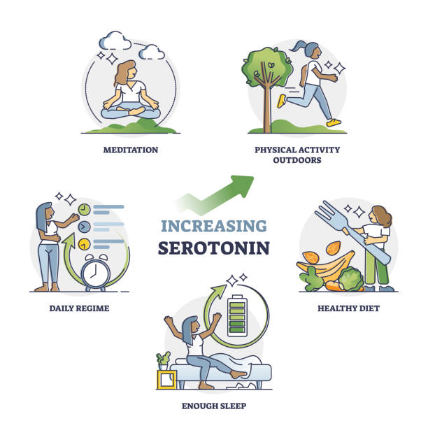 Increasing serotonin for mental and physical wellness outline collection set vector art illustration