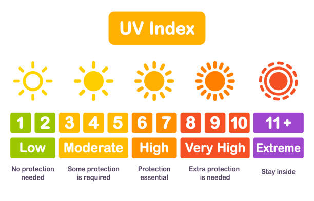 UV index chart infographic UV index chart infographic, safety scale of sun exposure risk. Vector illustration in bright modern simple style. ultraviolet light stock illustrations