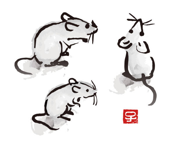 Indian ink brush painting mouse and rat illustration Indian ink brush painting mouse and rat illustration with red seal with Chinese zodiac symbol "year of the rat" mouse animal stock illustrations