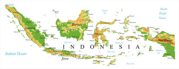 stockillustraties, clipart, cartoons en iconen met relief kaart van indonesië - indonesië