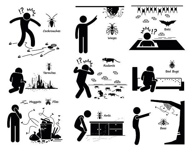 Infestation Cockroaches Wasp Bats Termites Rats Bugs Maggots Ants Bees A set of pictograms representing man or human facing pest problem and infestation such as cockroaches, wasp, bats, termites, rats, bed bug, maggots, flies, ants, and bees. maggot stock illustrations