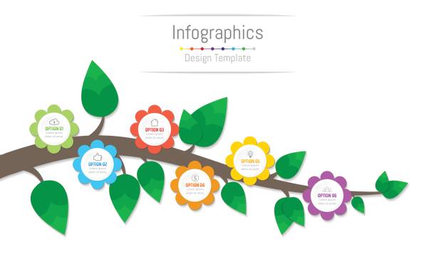 infographic 6 옵션, 부품, 단계, 일정 또는 프로세스, 꽃 및 분기 개념 비즈니스 데이터에 대 한 요소를 디자인 합니다. 벡터 일러스트입니다. - 6 7 살 stock illustrations
