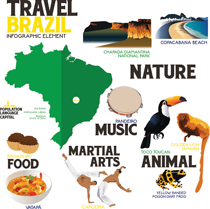 Infographic Elements for Traveling to Brazil