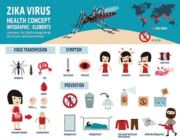 infographic, elements, icons, health care zika virus..infographic elements ..health care concept..vector flat icons design..brochure poster banner illustration for website and magazine..isolated on white background. dengue fever fever stock illustrations
