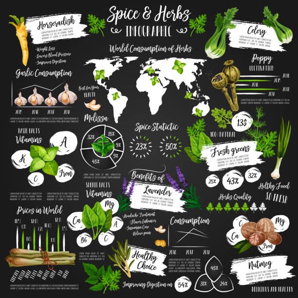 Infographic for spice and herb statistics poster Spices and herbs infographic poster. Vector of diagrams on herbal seasonings on world map. Percent statistic for condiments and garden spice production, ginger and poppy, thyme, oregano and tarragon spices of the world stock illustrations