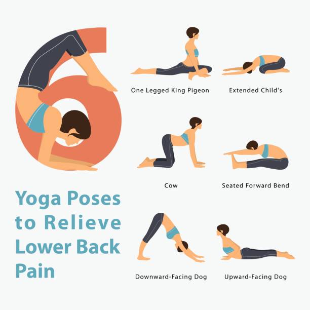 Infographic for Yoga poses to relieve lower back pain in flat design. A set of yoga postures female figures for Infographic 6 Yoga poses to relieve lower back pain in flat design. Vector Illustration. benefits of exercise infographics stock illustrations