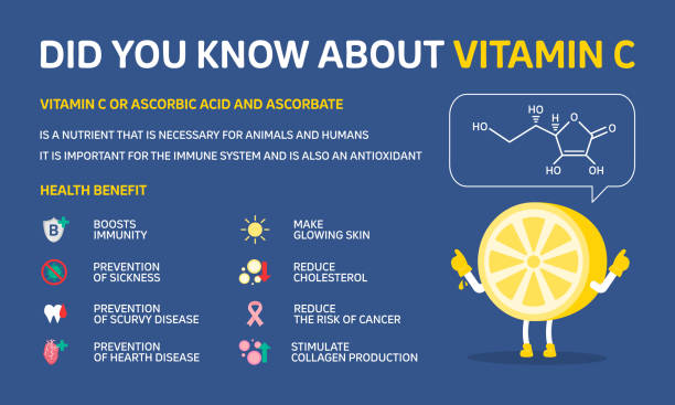 ilustrações de stock, clip art, desenhos animados e ícones de infographic illustration about did you know about vitamin c, boosts immune. flat design - natural food infographics