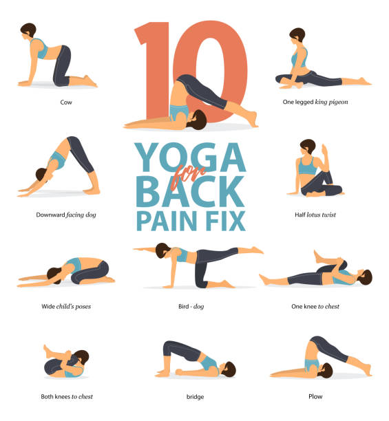 Infographic of 10 Yoga poses for back pain relieve in flat design. Beauty woman is doing exercise for back strength. Set of yoga postures female figures Infographic.Vector. Infographic of 10 Yoga poses for back pain relieve in flat design. Beauty woman is doing exercise for back strength. Set of yoga postures female figures Infographic.Vector Illustration. benefits of exercise infographics stock illustrations