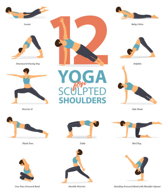 Infographic of 12 Yoga poses for sculpted shoulders in flat design. Beauty woman is doing exercise for body stretching. Set of yoga sequence Infographic.  Cartoon Vector. Infographic of 12 Yoga poses for sculpted shoulders in flat design. Beauty woman is doing exercise for body stretching. Set of yoga sequence Infographic.  Cartoon Vector art and Illustration. benefits of exercise infographics stock illustrations