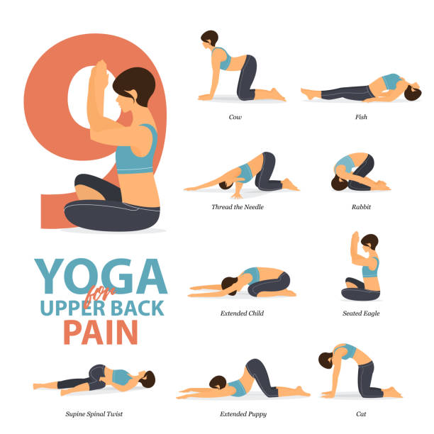 Infographic of 9 Yoga poses for upper back pains in flat design. Beauty woman is doing exercise for body stretching. Set of yoga sequence Infographic. Yoga Cartoon Vector. Infographic of 9 Yoga poses for upper back pains in flat design. Beauty woman is doing exercise for body stretching. Set of yoga sequence Infographic. Yoga Cartoon Vector art and Illustration. benefits of exercise infographics stock illustrations