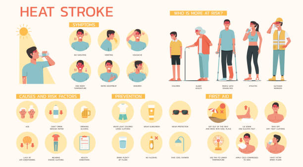 Infographic of heatstroke symptoms, prevention, causes and risk factors, and first aid treatment with sign symbol and icon vector art illustration