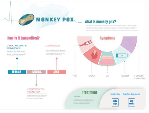 illustrations, cliparts, dessins animés et icônes de infographie de la variole du singe, qu’est-ce que c’est, symptômes et traitement, conception plate avec icônes des symptômes, eps 10 - monkeypox