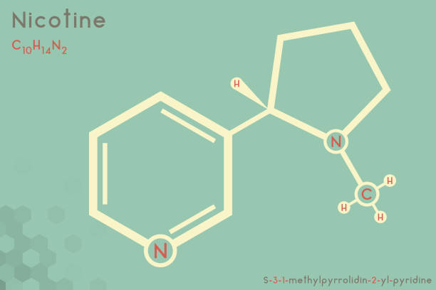 니코틴 분자의 인포 그래픽 - 니코틴 stock illustrations