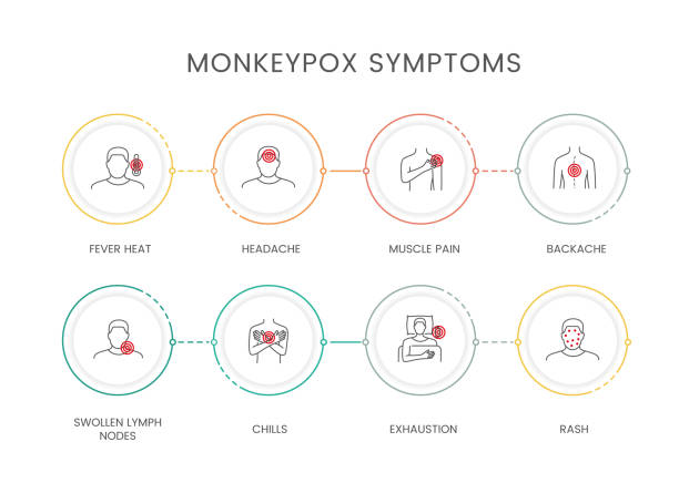 infographic vector, linear icons with monkeypox symptoms - 天花病毒 幅插畫檔、美工圖案、卡通及圖標