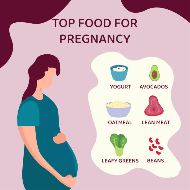 Infographics of foods for pregnant woman vector Pregnancy food vector infographics with portrait of pregnant female figure holding her big belly besides icons of healthy foods for pregnancy in pink & red background pregnant backgrounds stock illustrations