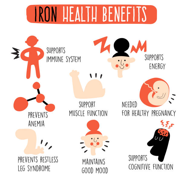 ilustrações de stock, clip art, desenhos animados e ícones de infographics of iron health benefits. vector illustration. - alimentos sistema imunitário