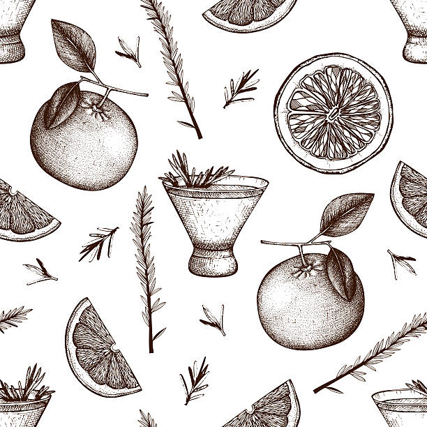 Ink hand drawn rosemary fizz background Vector seamless pattern with vintage alcoholic cocktails sketch. Ink hand drawn rosemary fizz background for bar or restaurant menu cocktail designs stock illustrations