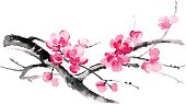 Ink illustration of blooming branches of cherry. Sumi-e, u-sin, gohua painting style. Silhouette made up of brush strokes isolated on white background.