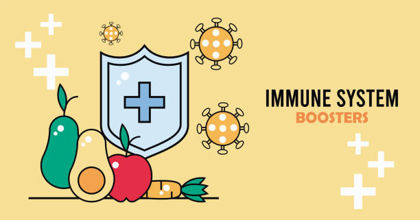ilustrações de stock, clip art, desenhos animados e ícones de inmune system booster shield with covid19 particles and vegetables - alimentos sistema imunitário