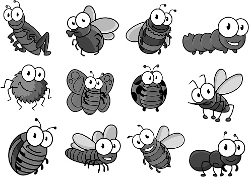 Insect cartoon character for childish design
