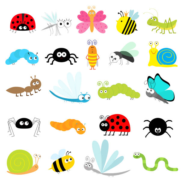 Insect icon set. Lady bug Mosquito Butterfly Bee Grasshopper Beetle Caterpillar Spider Cockroach Fly Snail Dragonfly Ant Lady bird Worm. Cute cartoon kawaii funny doodle character. Flat design. Insect icon set. Lady bug Mosquito Butterfly Bee Grasshopper Beetle Caterpillar Spider Cockroach Fly Snail Dragonfly Ant Lady bird Worm. Cute cartoon kawaii funny doodle character. Flat design. Vector cute spider stock illustrations