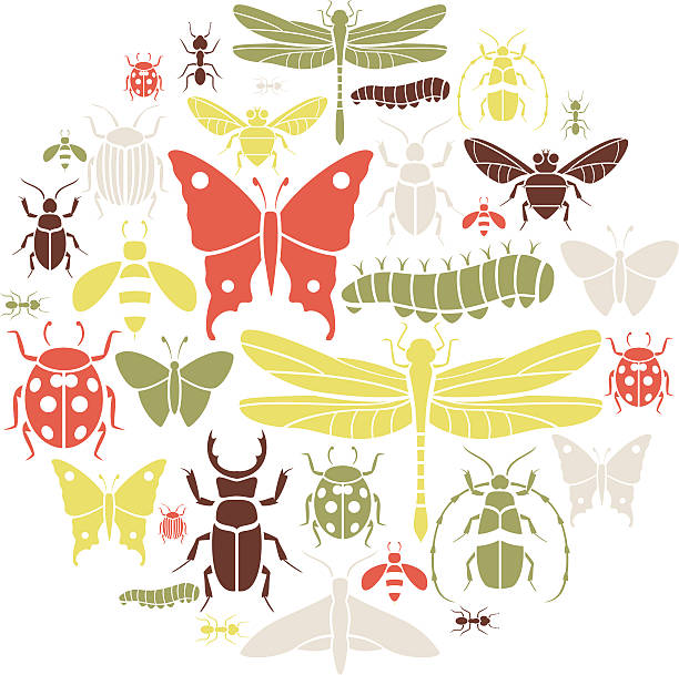 Insect Icon Set vector art illustration