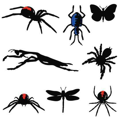 Insect silhouettes with red and blue