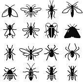 Insects and bugs symbols. Vector icons for video, mobile apps, Web sites and print projects. 
