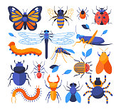 Insects collection - set of flat design style elements on white background. Colorful mages of ladybug, butterfly, ant, dragonfly, bee, grasshopper, caterpillar, scarab beetle, fly, mosquito and spider
