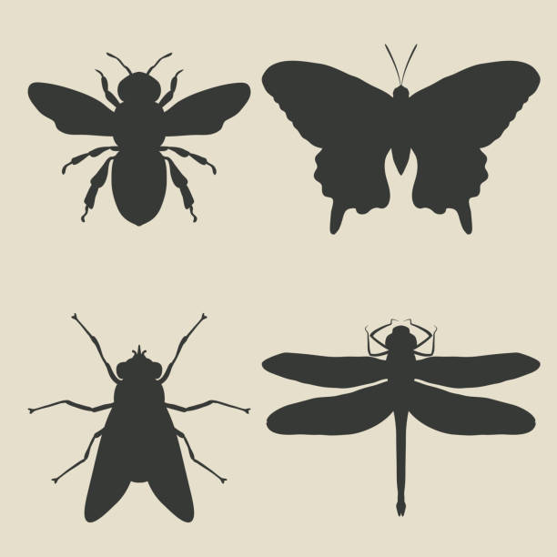 insects icon set insects icon set - vector illustration. eps 8 bee silhouettes stock illustrations