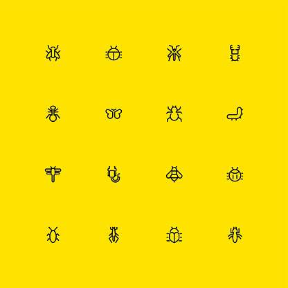 Insects Icons - Line