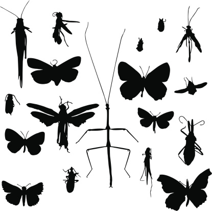 Insects Silhouette Set