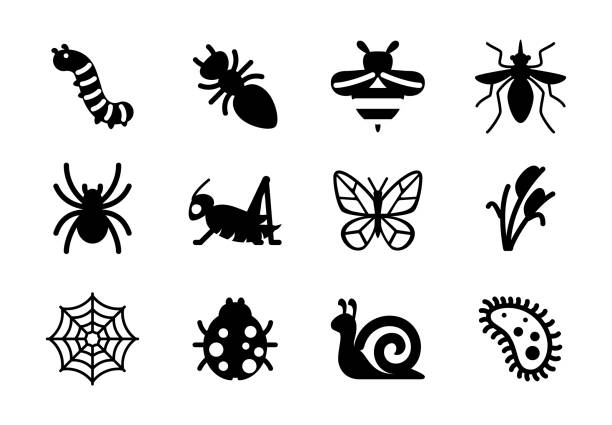 stockillustraties, clipart, cartoons en iconen met de vectorpictogrammen van insecten reeks. bug, worm, honingbij, mug, spin, sprinkhaan, vlinder, slak, lieveheersbeestje geïsoleerde symbolen collectie - lyme