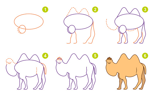 Instructions for drawing camel. Follow step by step for drawing camel. Worksheet for kid learning to draw wild animal.