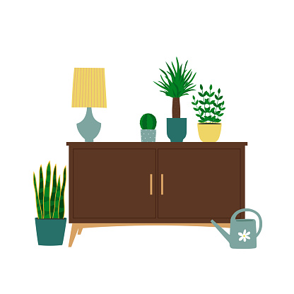 Interior design of a room with sideboard, lamp, watering can and houseplants