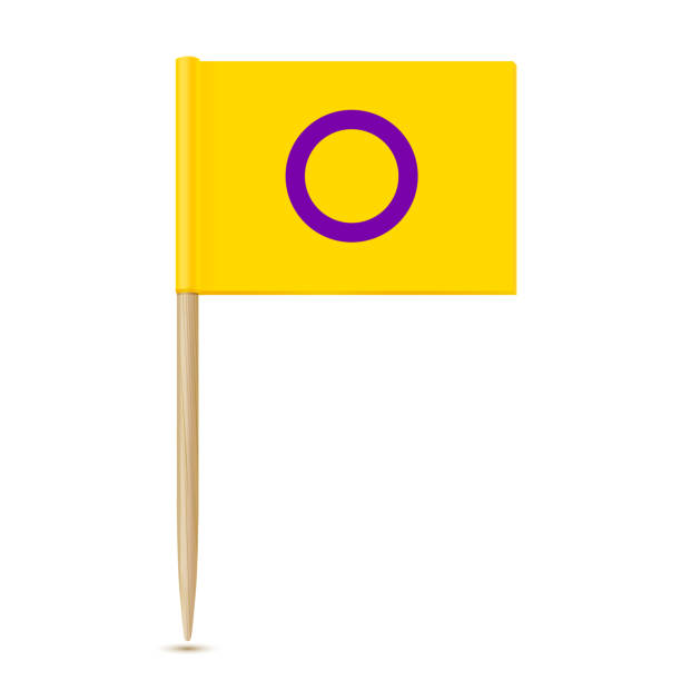 flaga interseksualna. flaga wykałaczki izolowana na biało - progress pride flag stock illustrations