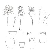 Irises and flower pots. Line art. Vector illustration.