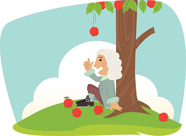 Isaac Newton Cute Isaac Newton is sitting under an apple tree. Eps10 isaac newton stock illustrations