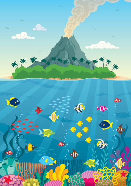 rafa wyspowa i wulkan - great barrier reef stock illustrations