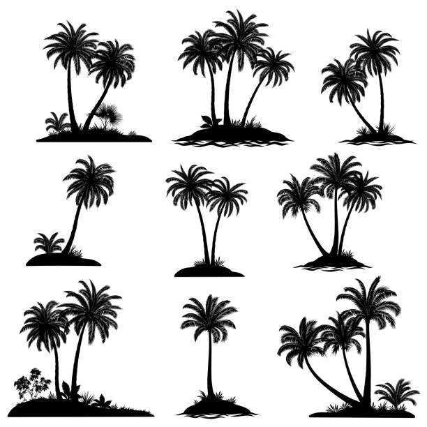 Islands with Palm Trees Silhouette Set Exotic Landscapes, Sea Islands with Palm Trees, Tropical Plants and Grass Black Silhouettes Isolated on White Background. Vector summer silhouettes stock illustrations