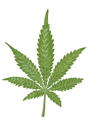 Фотошоп марихуана оф сайт браузера тор hudra