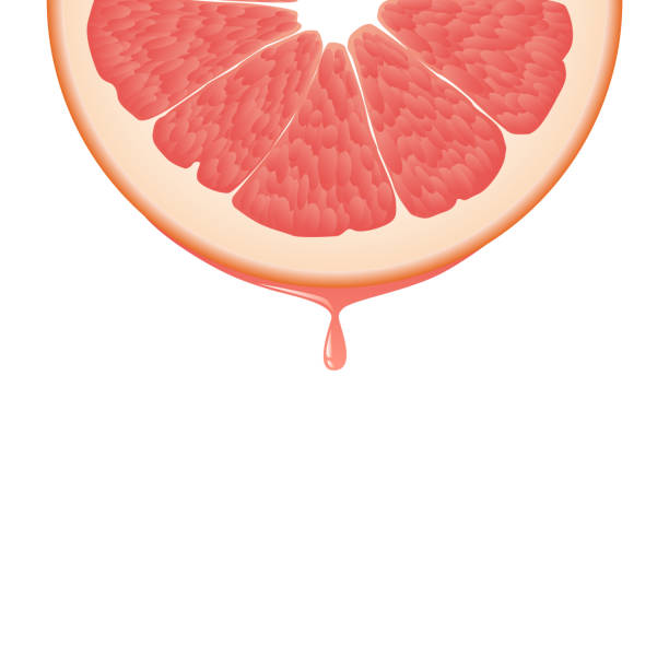 Royalty Free Ruby Grapefruit Clip Art Vector Images Royalty Free Ruby Grapefruit Clip Art Vector Images